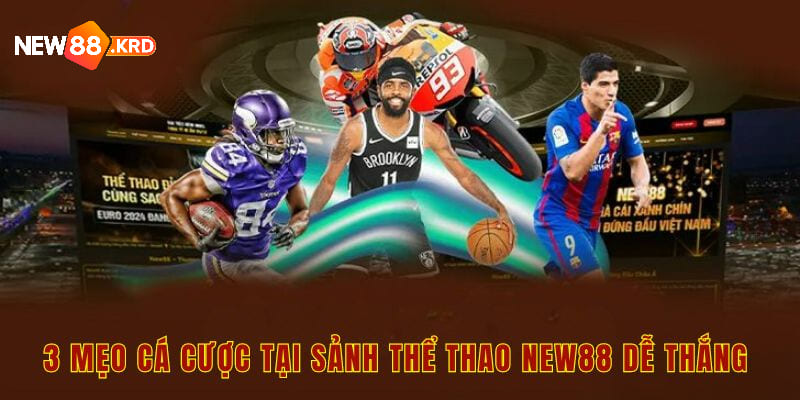 3 mẹo cá cược tại sảnh thể thao New88 dễ thắng 