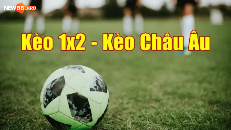 Khái niệm kèo Châu Âu cho người mới chơi