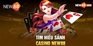 Thông tin về sảnh cá cược casino tại New88