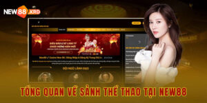 Tổng quan về sảnh thể thao tại New88